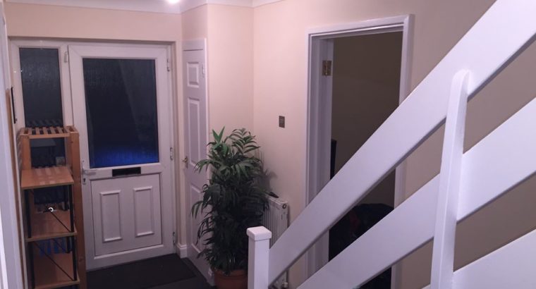 Large Double Room to Rent Newly Painted London