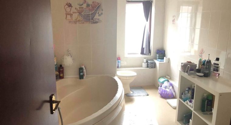 Double Room to Rent Blackhorse Lane and Billet Road