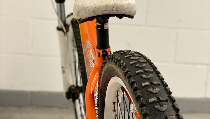 Specialized P2 Cromo Dirt Jump Bike Sale in London