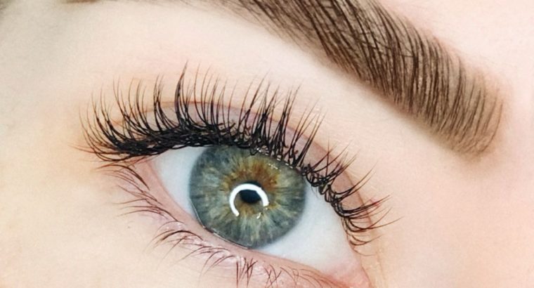 Luxury Eyelash and Eyebrow Treatments In The City Of London